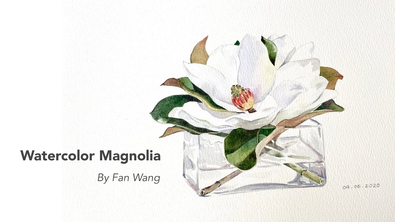 Watercolor White Magnolia