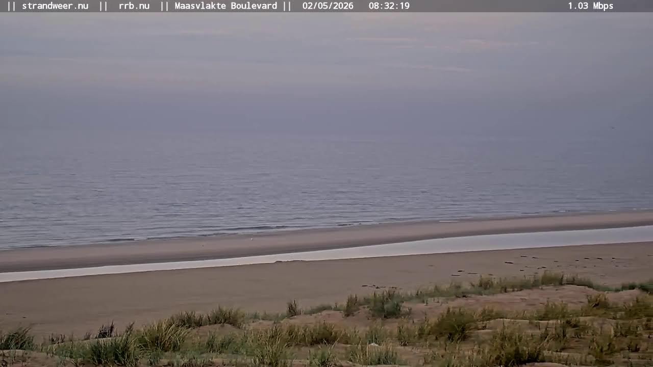Live Maasvlakte Boulevard en Beach Camera