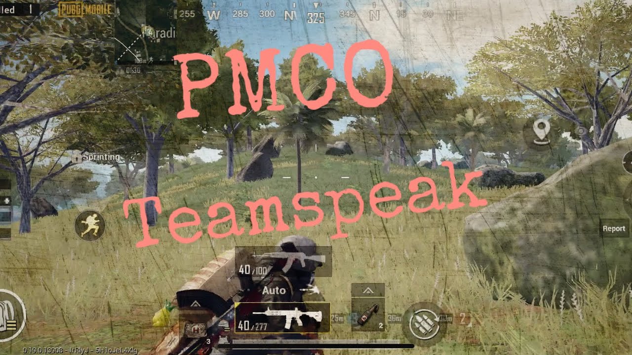 TEAM ONYX - PMCO QUALIFICATIONS DAY 2 | 19 Kills in Sanhok