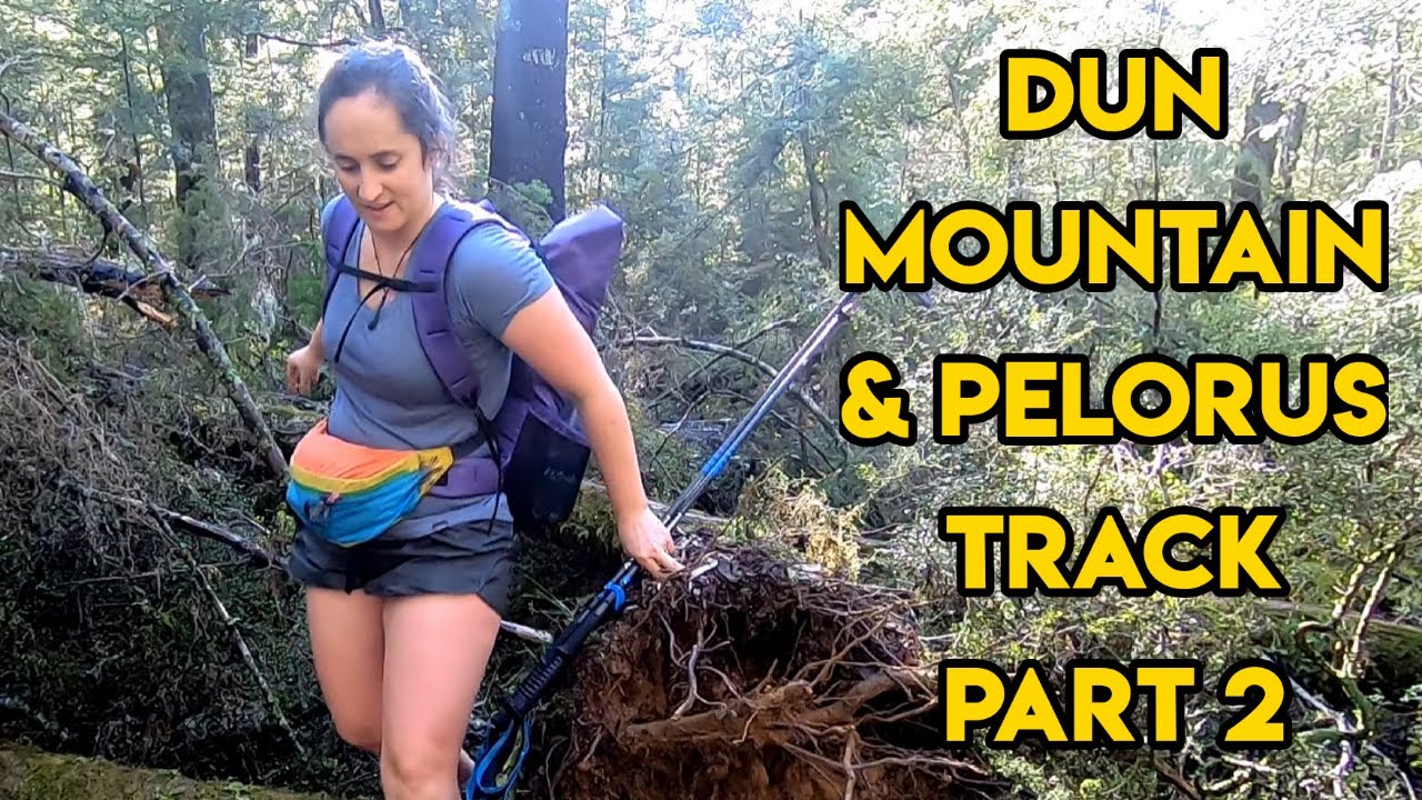 Dun Mountain & Pelorus Track Part 2 - New Zealand Adventures - Chilly Bin Hikes