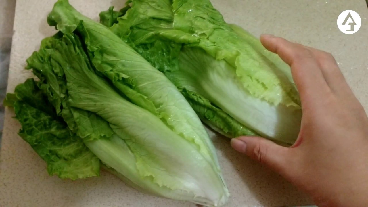 Chinese food ~ lettuce with oyster sauce 蚝油生菜