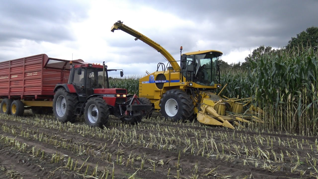Gottemaker in de mais met New Holland FX375 en 3 Case Internationals (2016)