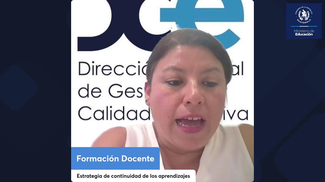 EVALUACI&Oacute;N DIAGN&Oacute;STICA DE LA ESTRATEGIA DE NIVELACI&Oacute;N DE LOS APRENDIZAJES