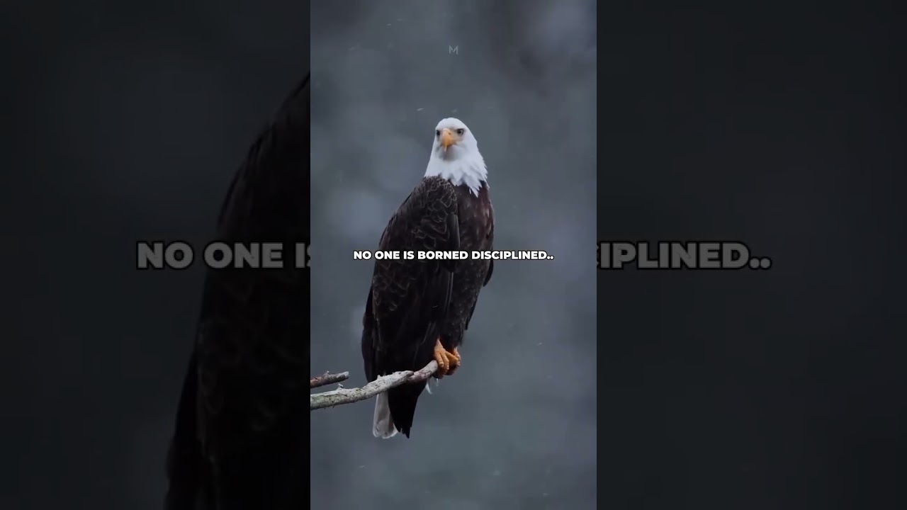 No one is borned disciplined.. 