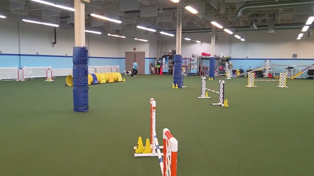 Zephyr Speedstakes 1 60 80 