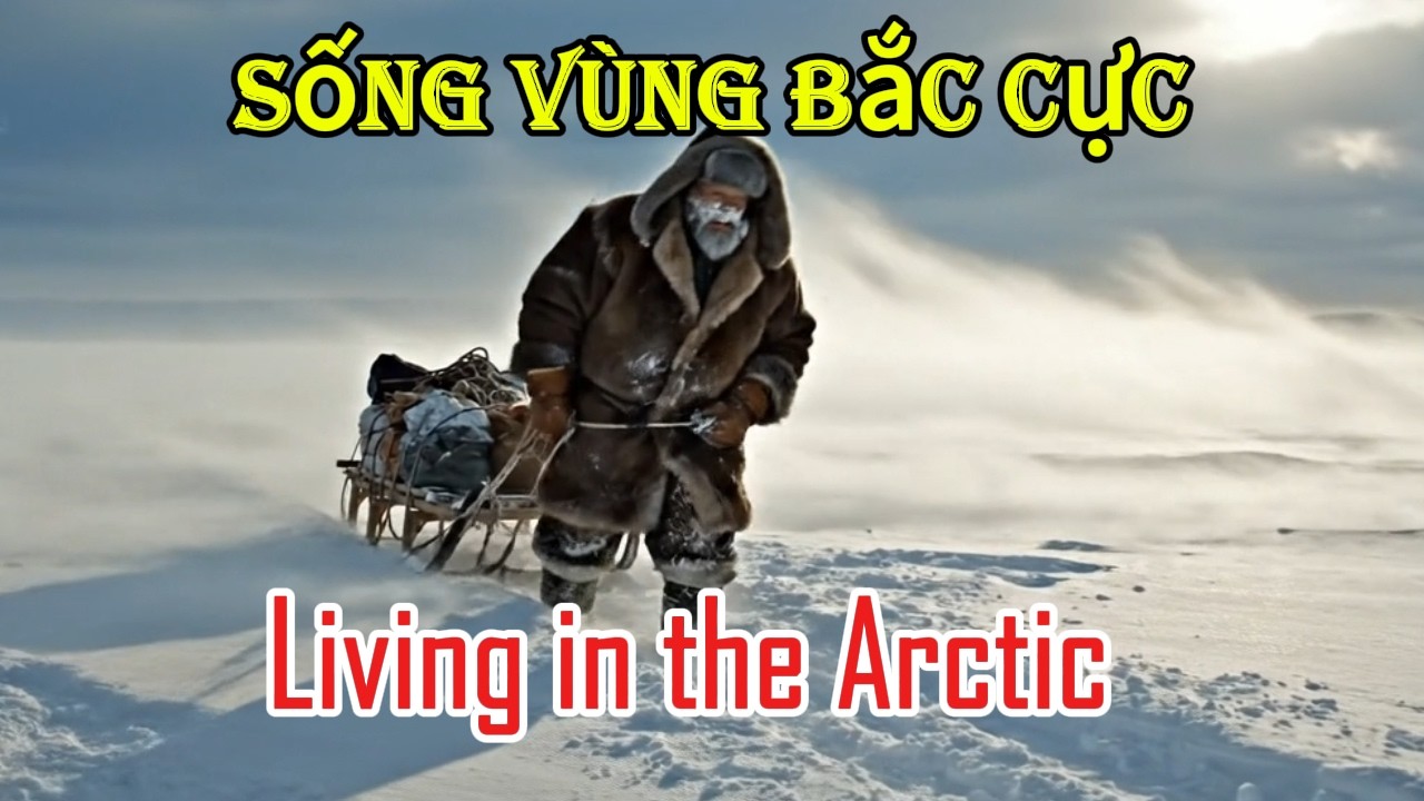 Living in the Arctic Sống Vùng Bắc Cực