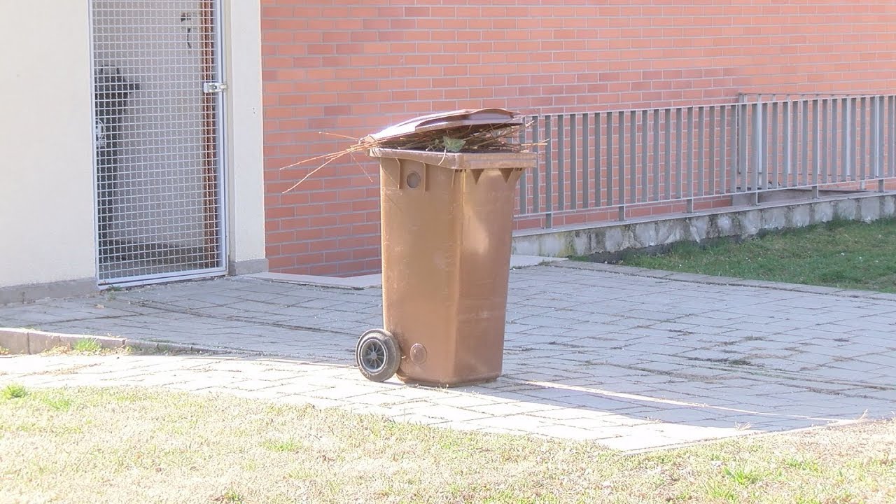 Április 3-án indul a zöldhulladék szállítás