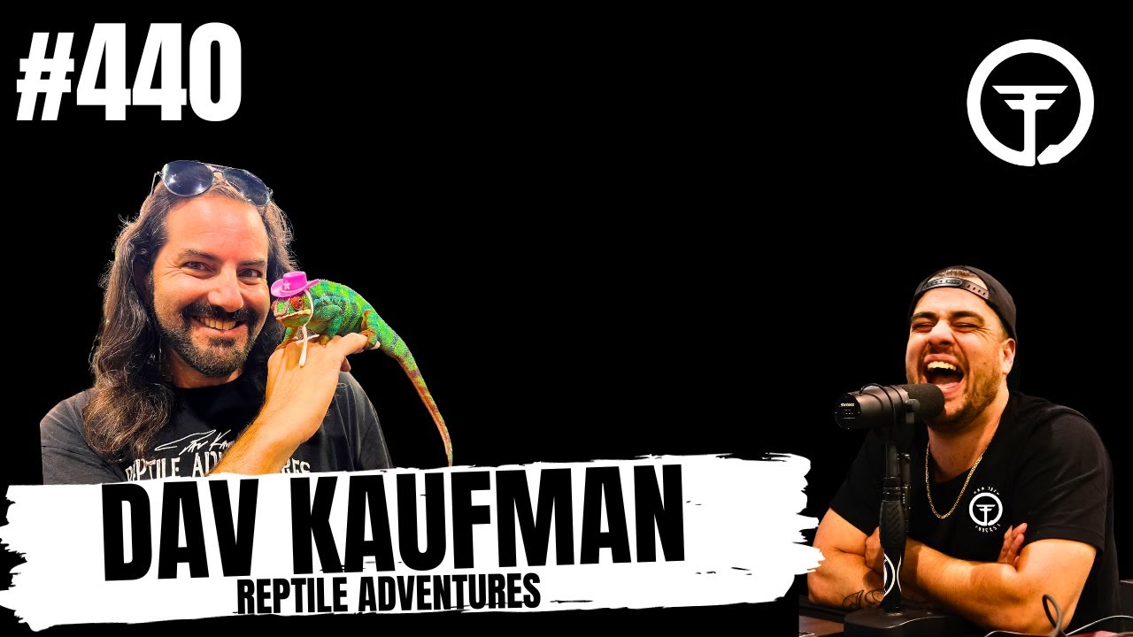 Will there ever be another Ball Python movie?