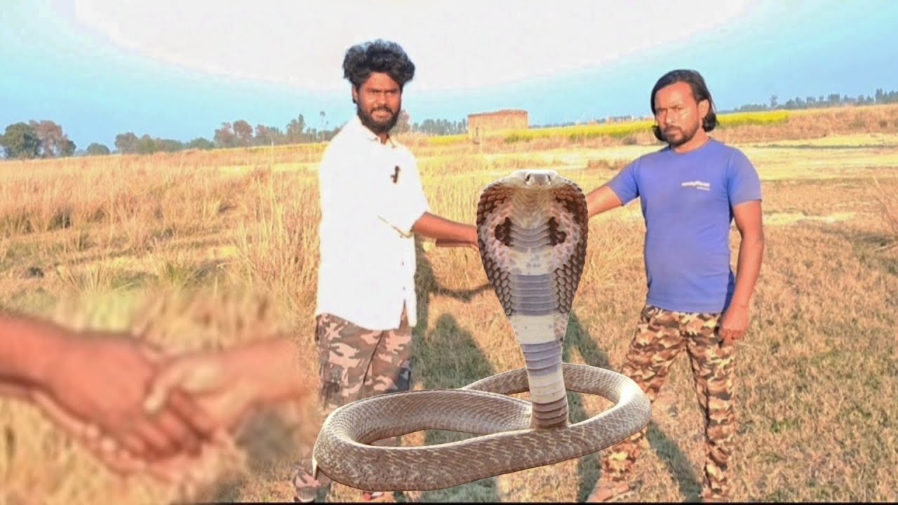 #snakesइतने दिनो बाद हमारे हौसलों को बढ़ाते हुए हमारे मोबीन भाई और हम दोनों लोग  सांप को किया रिलीज