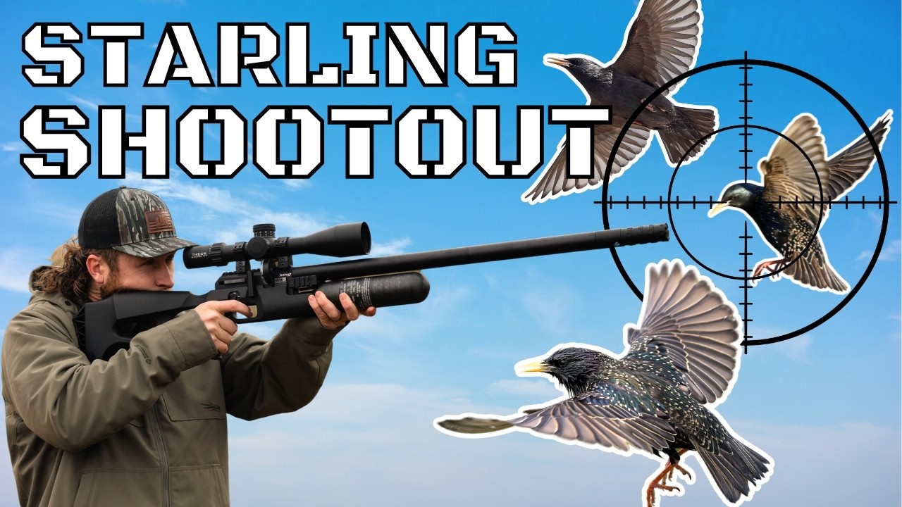 This Farm is INFESTED! | Hunting THOUSANDS of Starlings with Airguns!