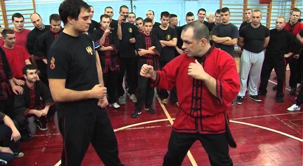Wing Chun Kan Sao Pak Sao against kick sifu Predrag Koviljac