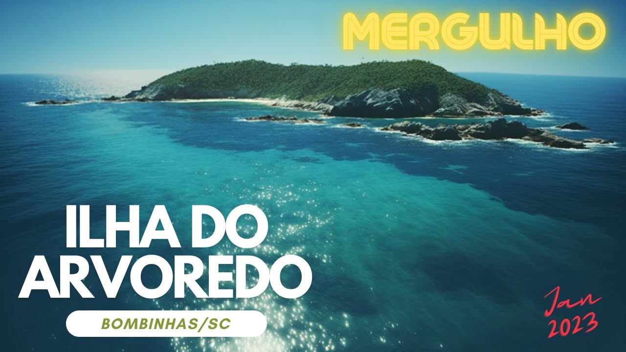 Mergulho: Ilha do Arvoredo (Bombinhas/SC) - Janeiro de 2023