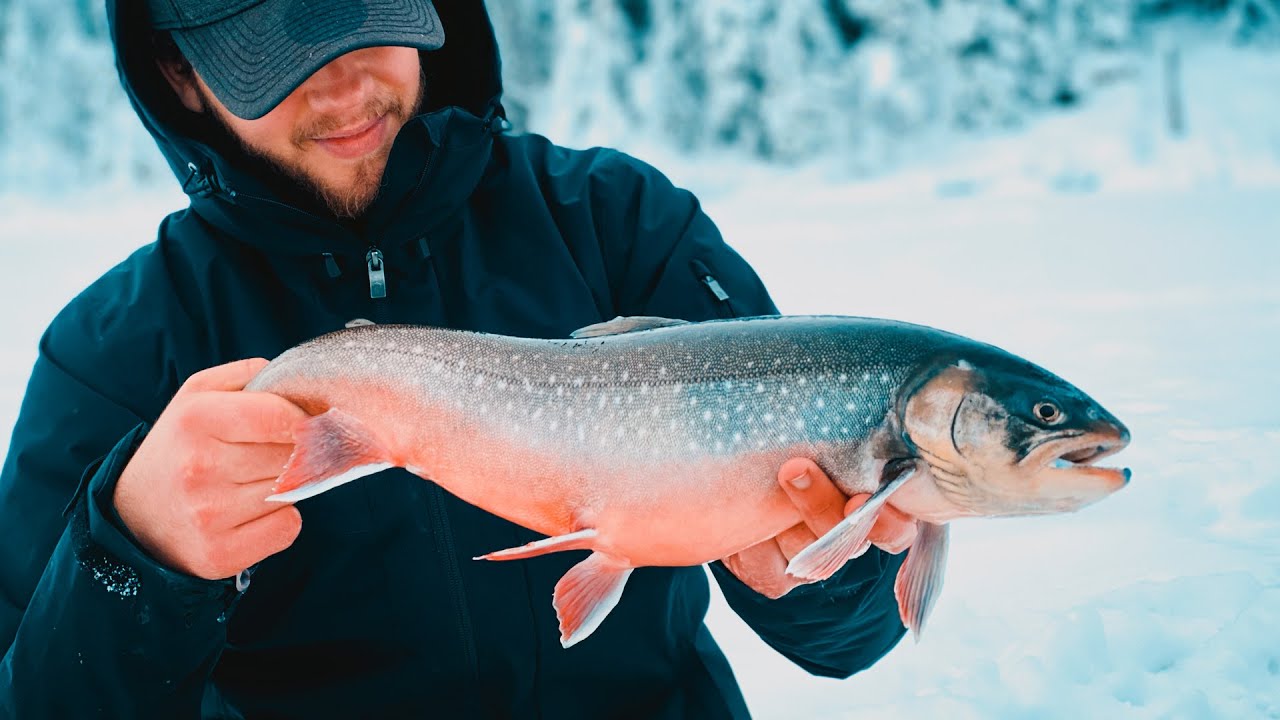 Isfiske efter RÖDING med attraqua