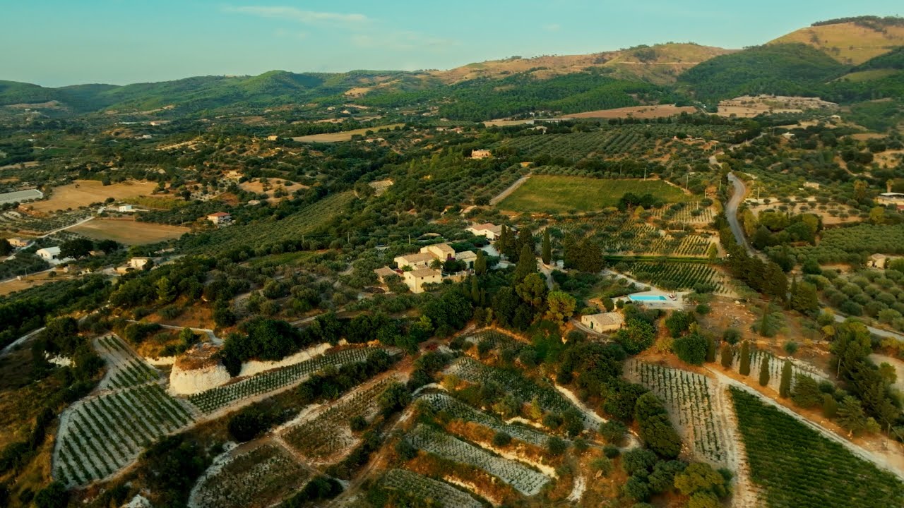 Baroni di Pianogrillo - Pianogrillo Farm - Organic wines from Chiaramonte Gulfi, Sicily - Italy