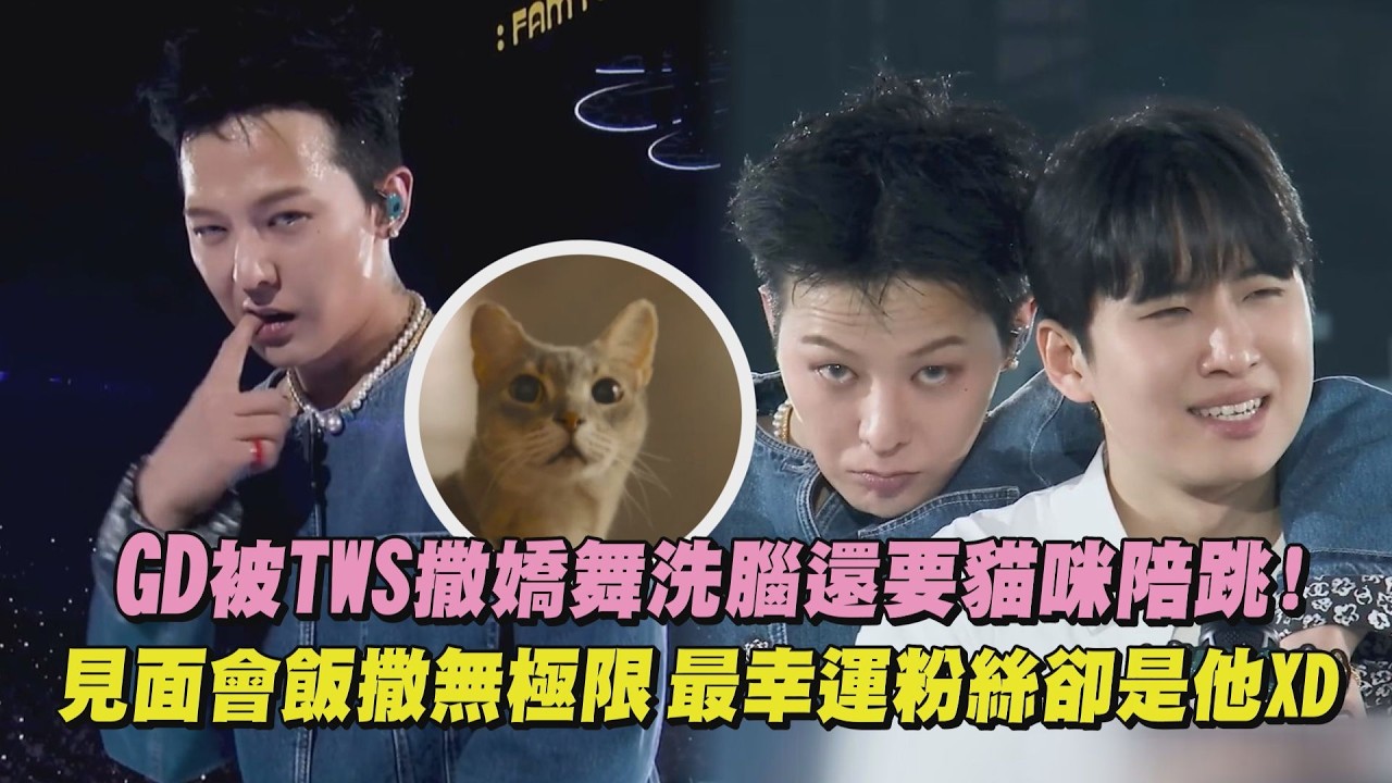 【超寵粉】GD被TWS撒嬌舞洗腦還要貓咪陪跳! 見面會飯撒無極限最幸運粉絲卻是他XD｜完全娛樂