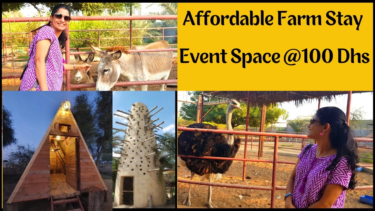 RAK Nature Treasures | Farm Stay | Event Space | Zoo | Museum | Farm | Affordable Farm Stay in RAK