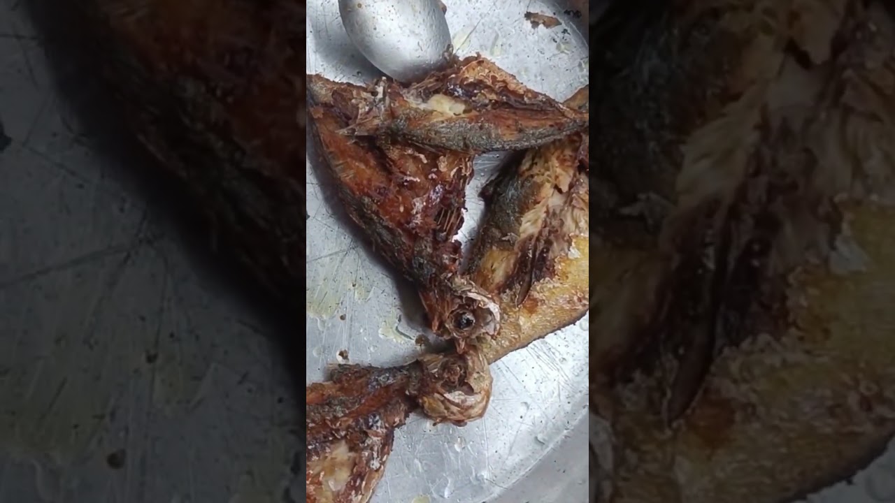 preparando pilombeta frita vinagrete e arroz de couve 🥬
