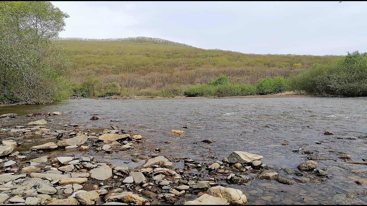 Рыбалка в Приморье. Стеклянуха, Шкотовка, Артемовка, Садгород. 07.05.2021