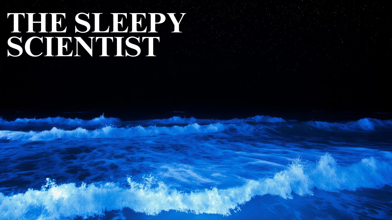 The Secret Life of the Sea | The Sleepy Scientist