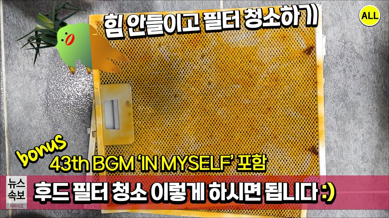 인덕션 후드 필터 찌든 기름때 쉽게 청소하는 방법(가스레인지 하이라이트 후드 필터 클리닝은 511원에 가능해요 :)