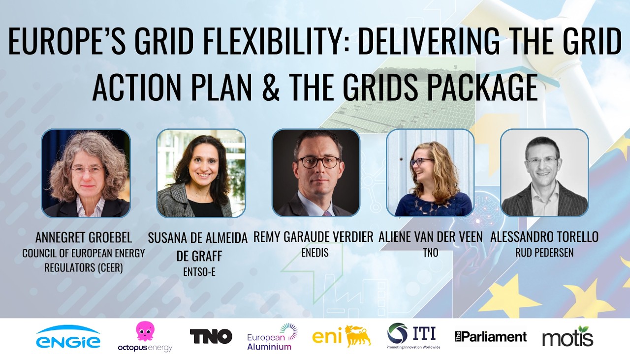 Europe’s Grid Flexibility: Delivering the Grid Action Plan & The Grids Package