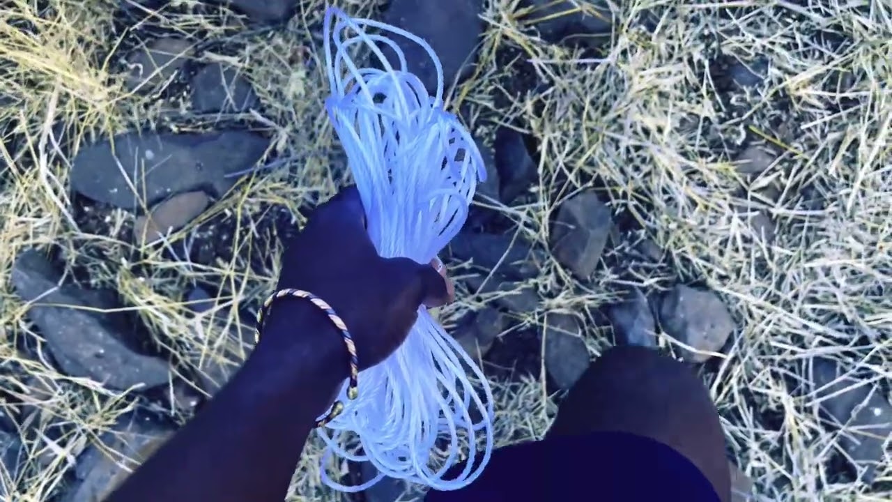 ONIMI(Visualizer)