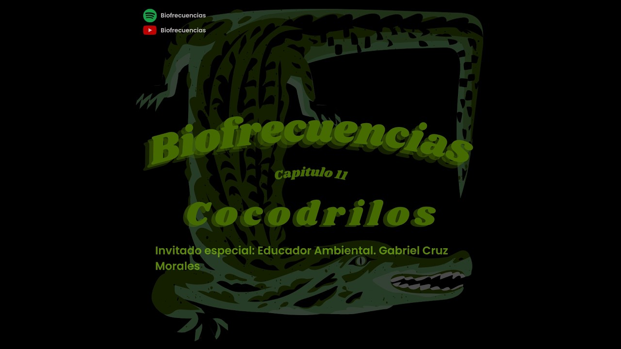 Cocodrilos