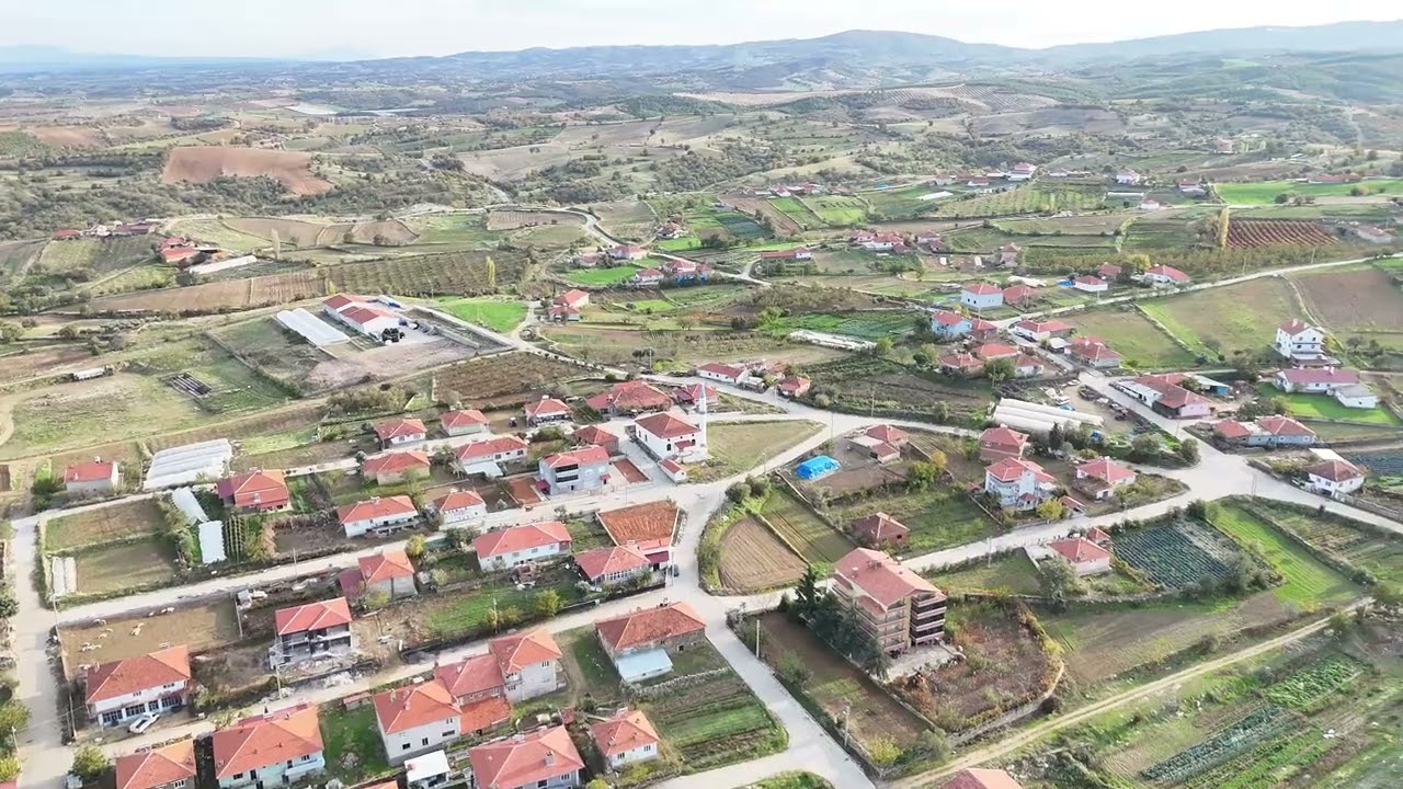 YELEĞEN
