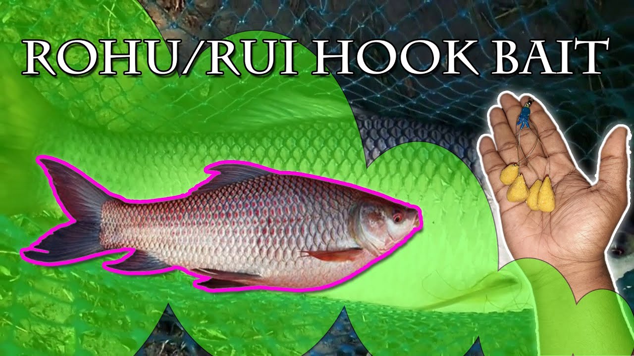 Rohu Hook Bait 100% Result