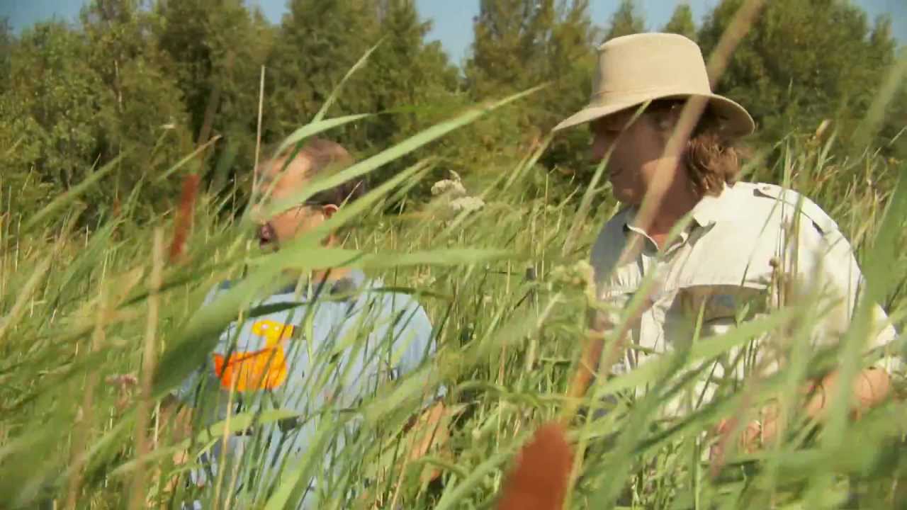 Natuurlijk Noord-Holland - Eilandspolder