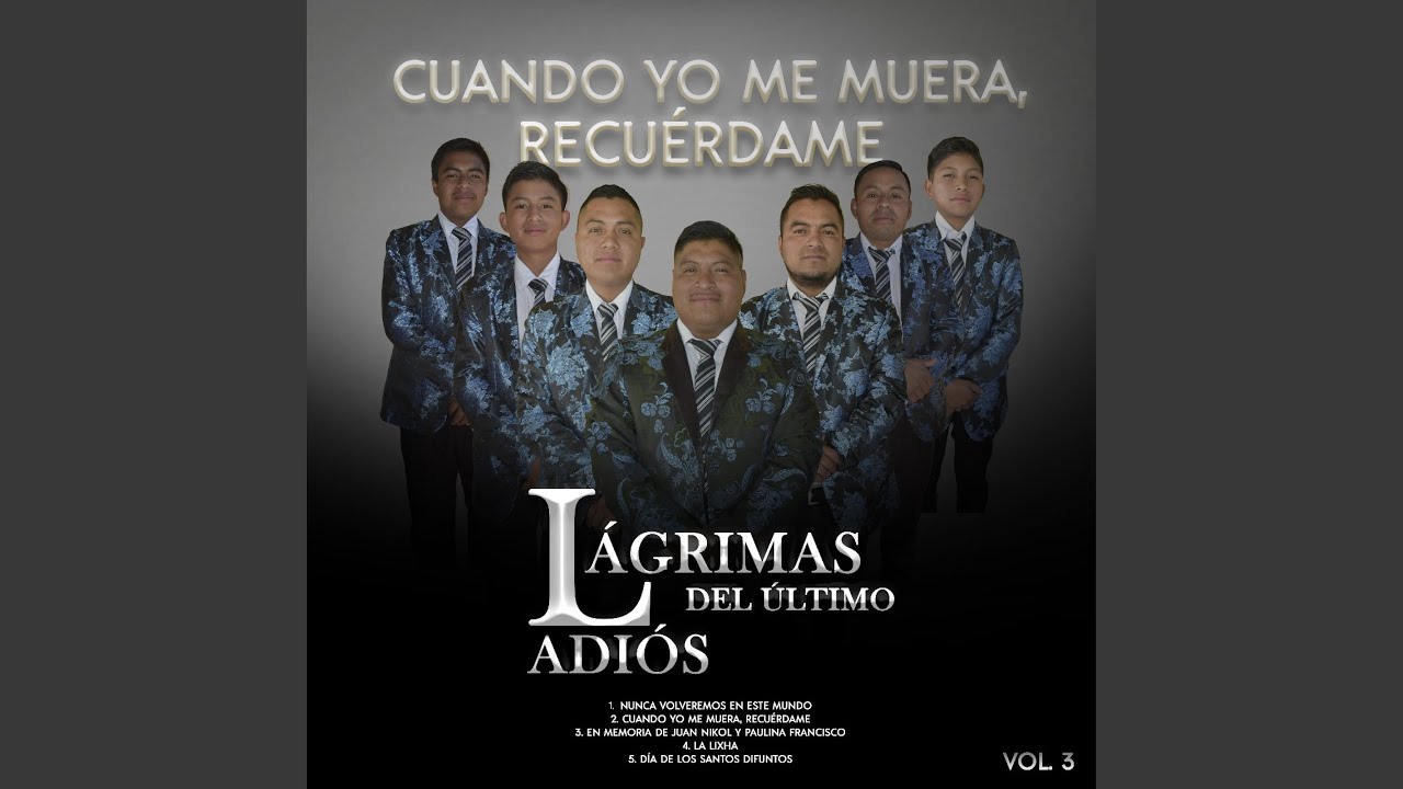 Nunca volveremos en este mundo