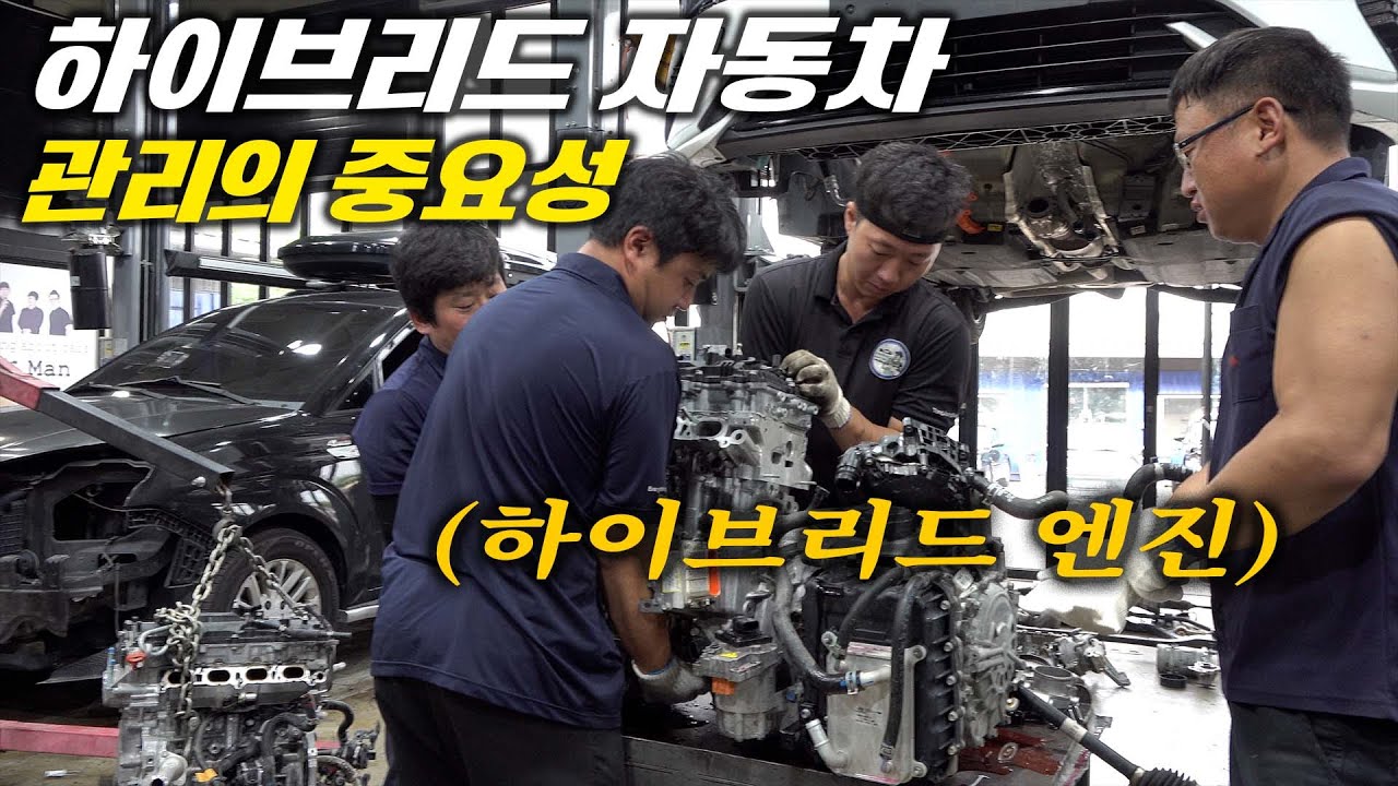 💥충격💥관리 실수로 보증 / 보험 수리 불가! 하이브리드 자동차 오너라면 꼭 아셔야 합니다 