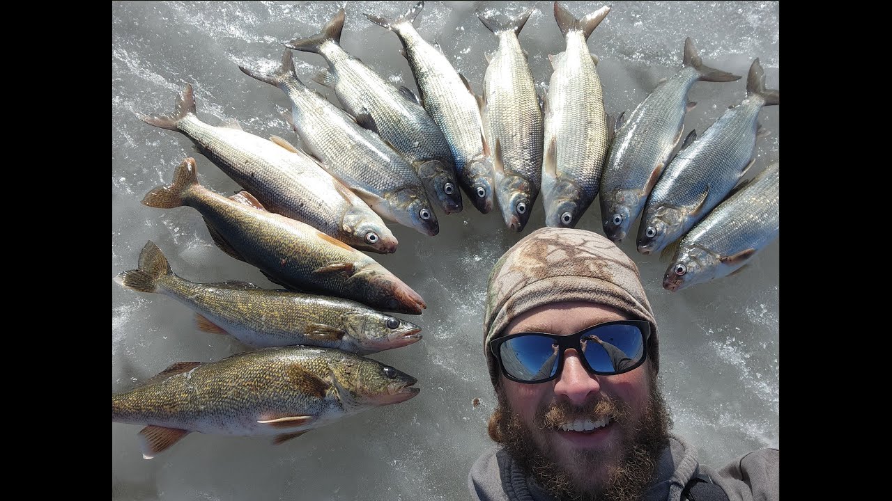 BIG Green Bay Walleyes and Whitefish!  2 Personal Best Walleyes! 2-3-24