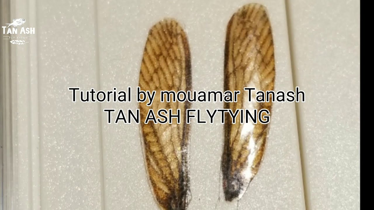 DIY realistic wings for any flies with smartphone and printer (realistic fly tying)