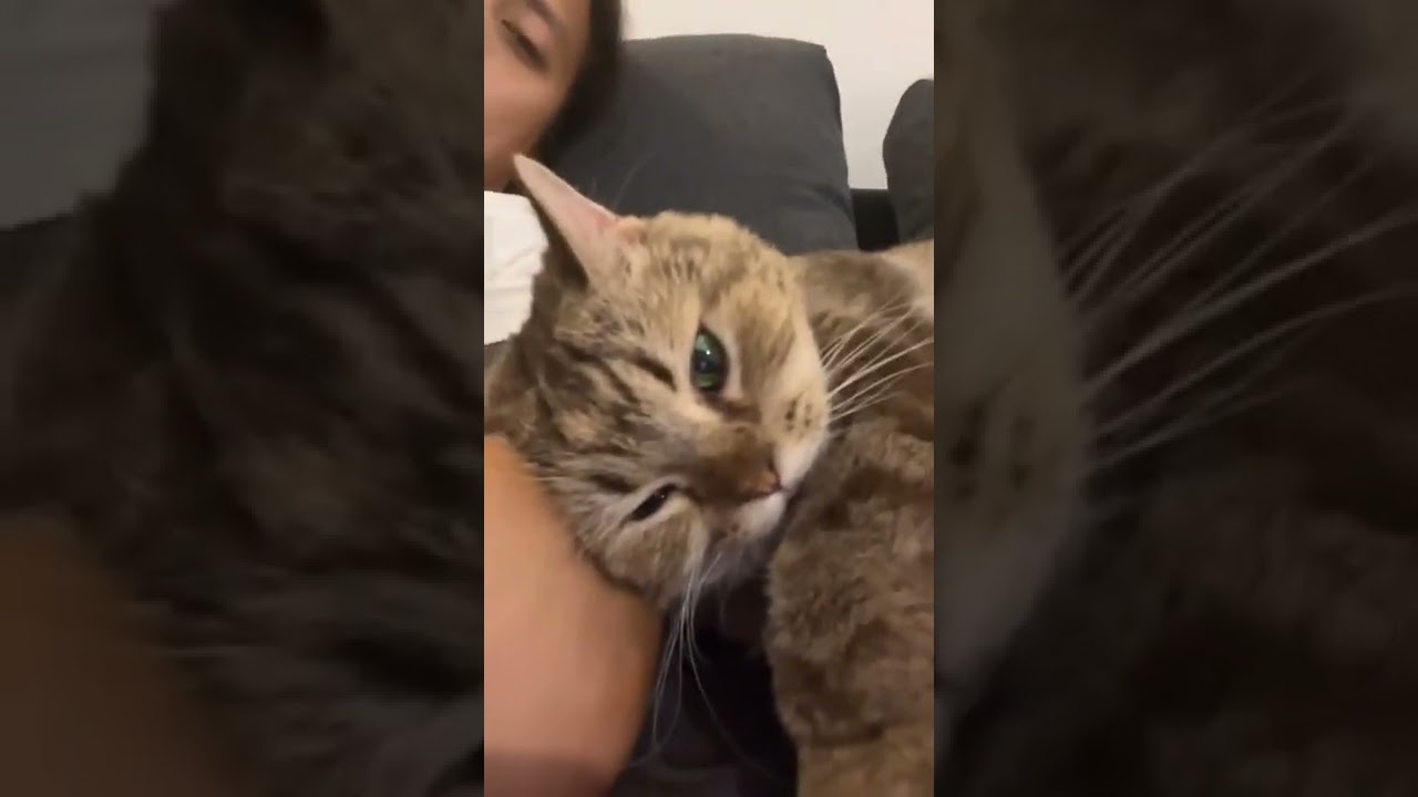 manja nya jimbon sama dikta bikin gemes