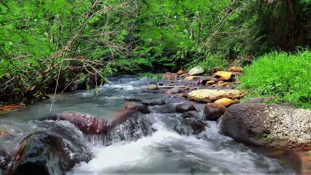 Gentle River Over Rocks for Sleep, Relaxation and Anxiety Relief