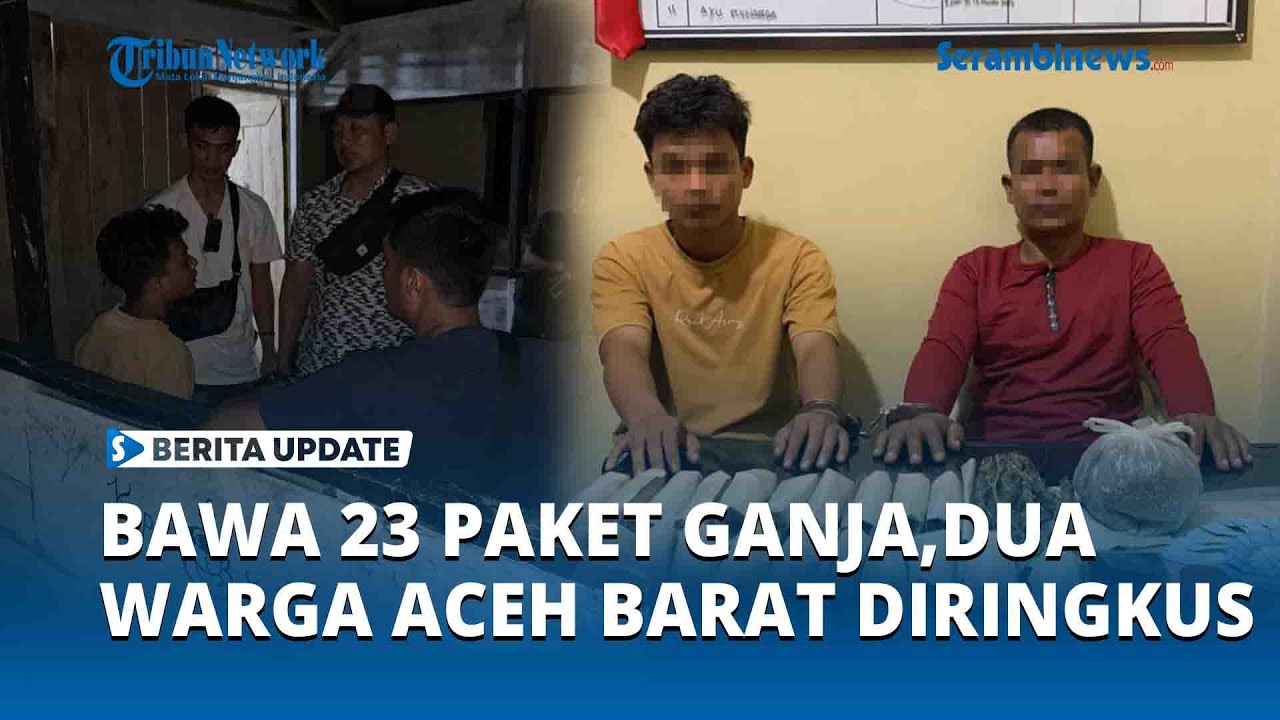 Lagi ! Dua Warga Aceh Barat Diringkus Polisi Bersama 23 Paket Ganja