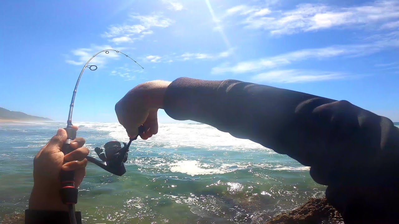 Shad on spoon and soft plastics🔥🎣 Ultralight Fishing Cuttings Basin. Blacktails. KZN SA.