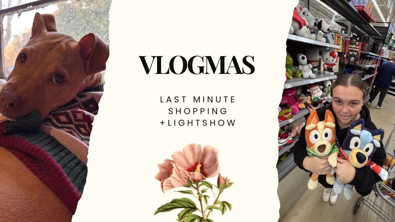 Last minute Xmas shopping + light show (vlogmas) 