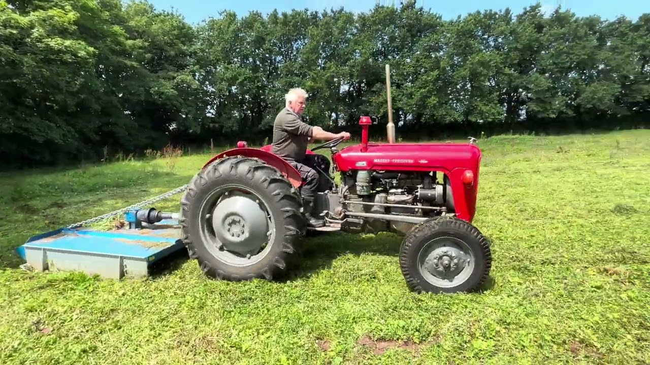 Massey Ferguson 35 Milford Haven