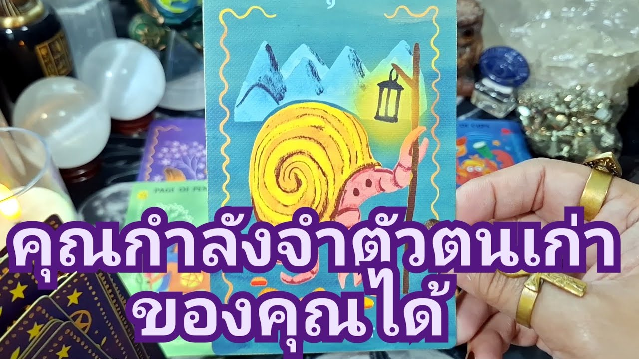 🌍✨️คุณกำลังจำตัวตนเก่าของคุณได้✨️🌍#แม่หมอชุลีกร #ไพ่ทาโรต์ #ไพ่ยิปซี #ดูดวงไพ่ยิปซี 