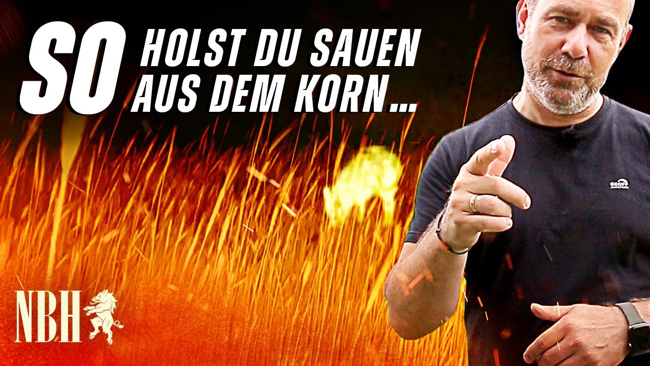 Spannende Keilerjagd: Erfolgreiche Strategie am Kornfeld - so lockst du die Sauen aus dem Getreide!