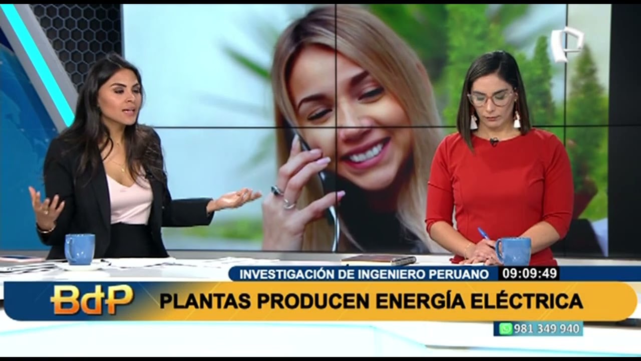 Alinti: Plantas que crean electricidad con el primer biocargador de energía eléctrica limpia