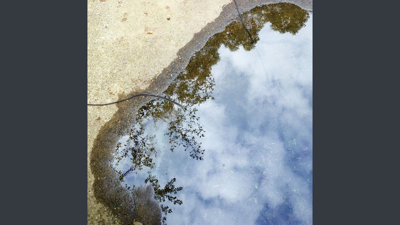 The World