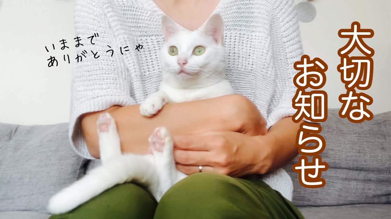 ずっと応援してくれた皆さまへ。小福から感謝を込めて