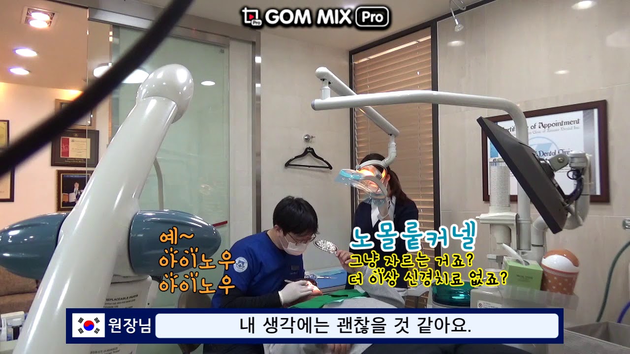 칼로스, 어서와 한국치과는 처음이지 SEOUL DENTAL CLINIC DENTIST