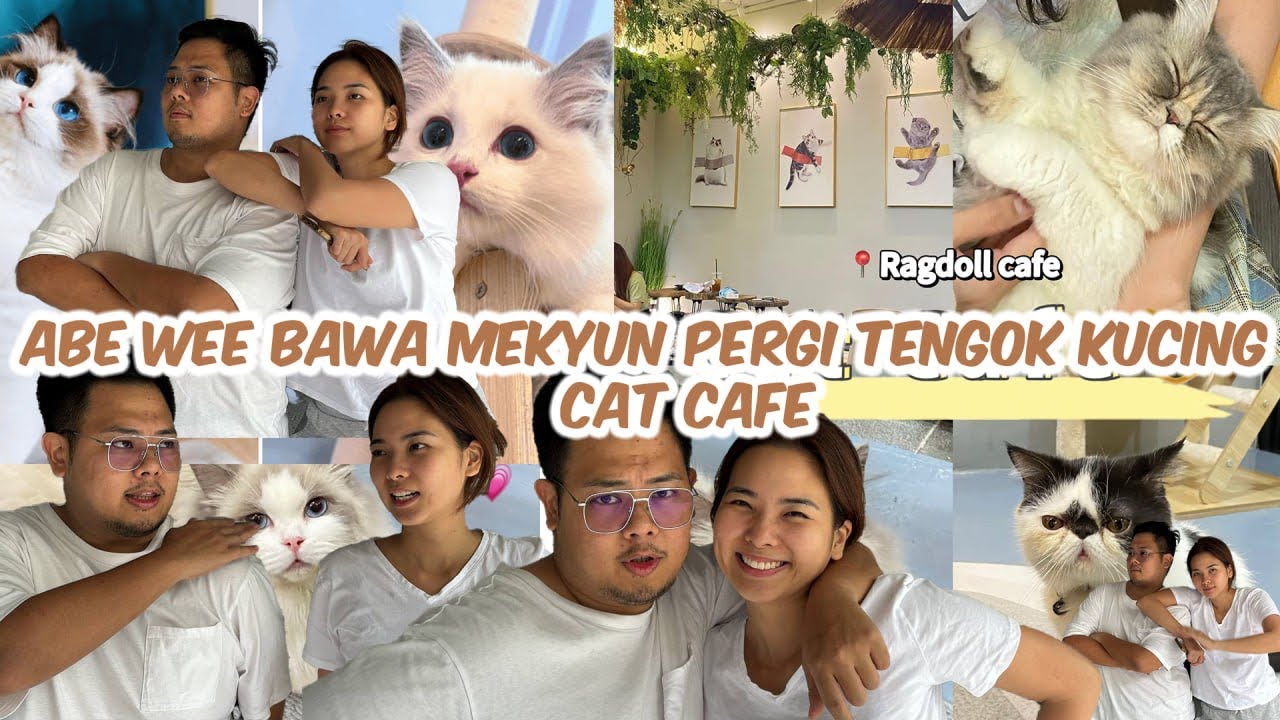 ABE WEE BAWA MEKYUN PERGI CAT CAFE!