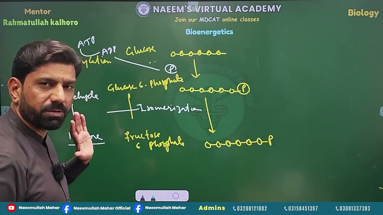 Lecture no : 3  Part 2  Topic: Bioenergetics by sir rahmatullah kalhoro