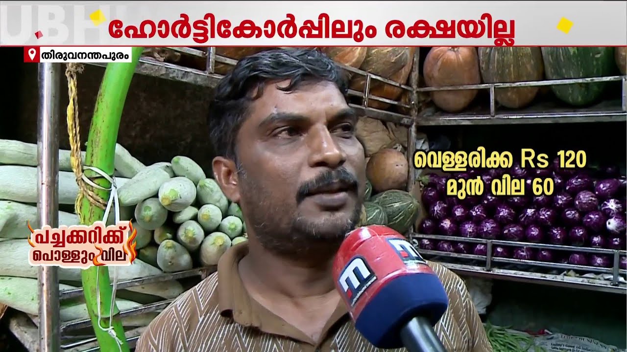 ഹോര്&zwj;ട്ടികോര്&zwj;പ്പിലും പച്ചക്കറി വിലയ്ക്ക് രക്ഷയില്ല; വെള്ളരിവില കൂടിയത് കുത്തനെ | Vegetable Price