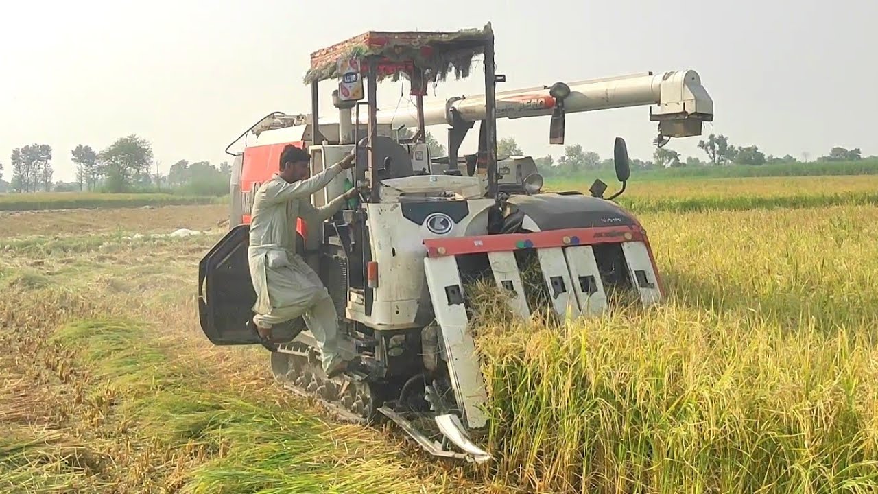Kubota AR70 combine harvester | import from Japan machine